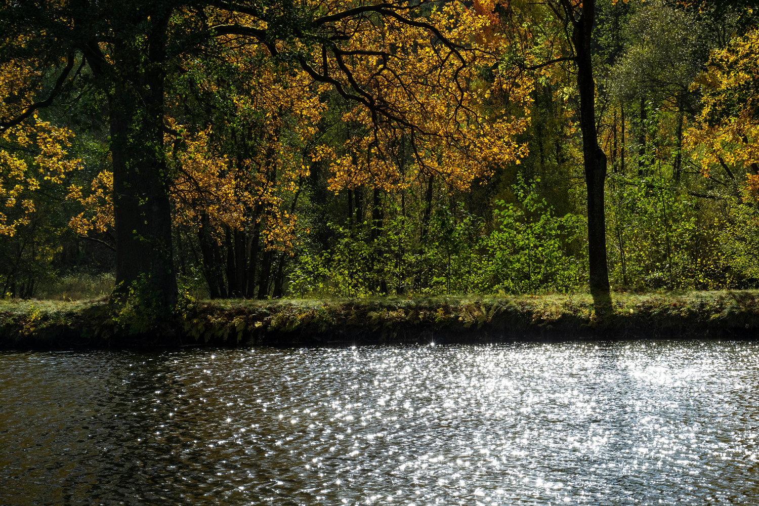 Brožkův rybník se nachází v údolí mezi Bedřichovem a Velkou Rovnou.