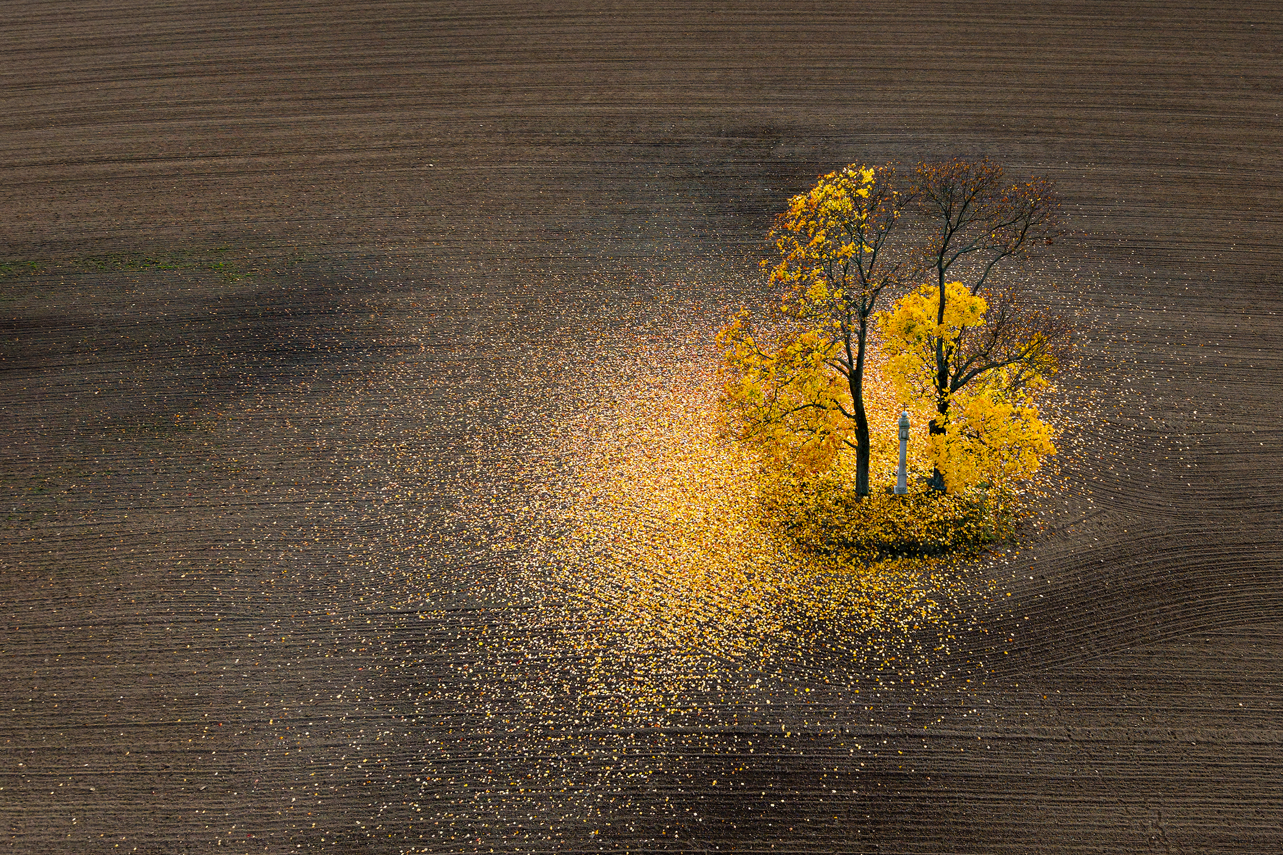 Čeřenův sloup u Pacova